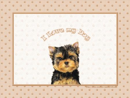 I lOve my dOg